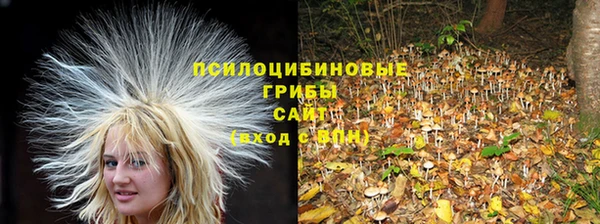 хмурый Остров