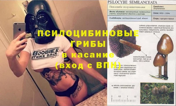 mdma Медвежьегорск