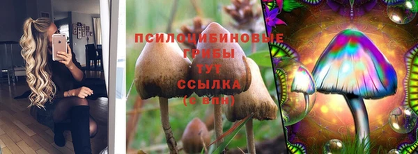 спайс Медногорск