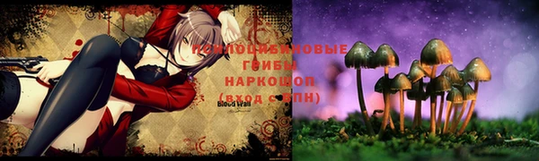 спайс Медногорск