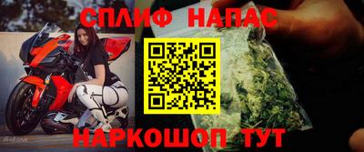 ешки Кингисепп