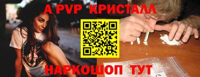 ешки Кингисепп