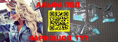 ешки Кингисепп