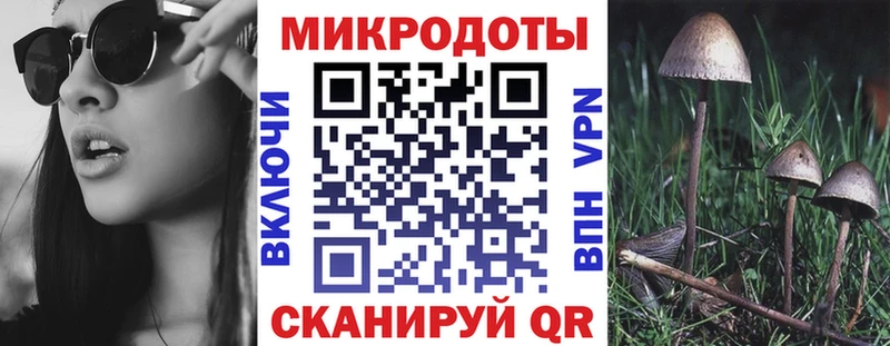 Псилоцибиновые грибы Psilocybe  где продают   Стерлитамак 