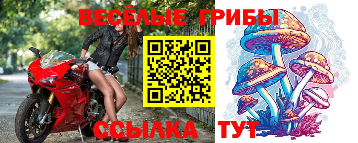 Галлюциногенные грибы мицелий Стерлитамак