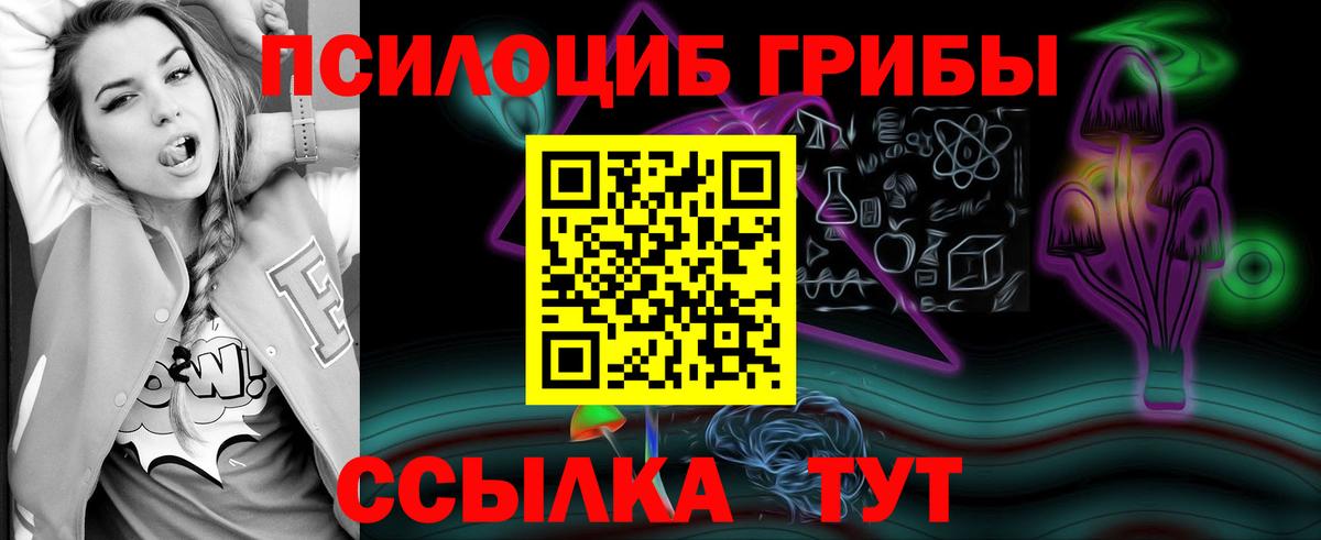 Псилоцибиновые грибы мухоморы  где купить наркотик  Стерлитамак  Вход с VPN 