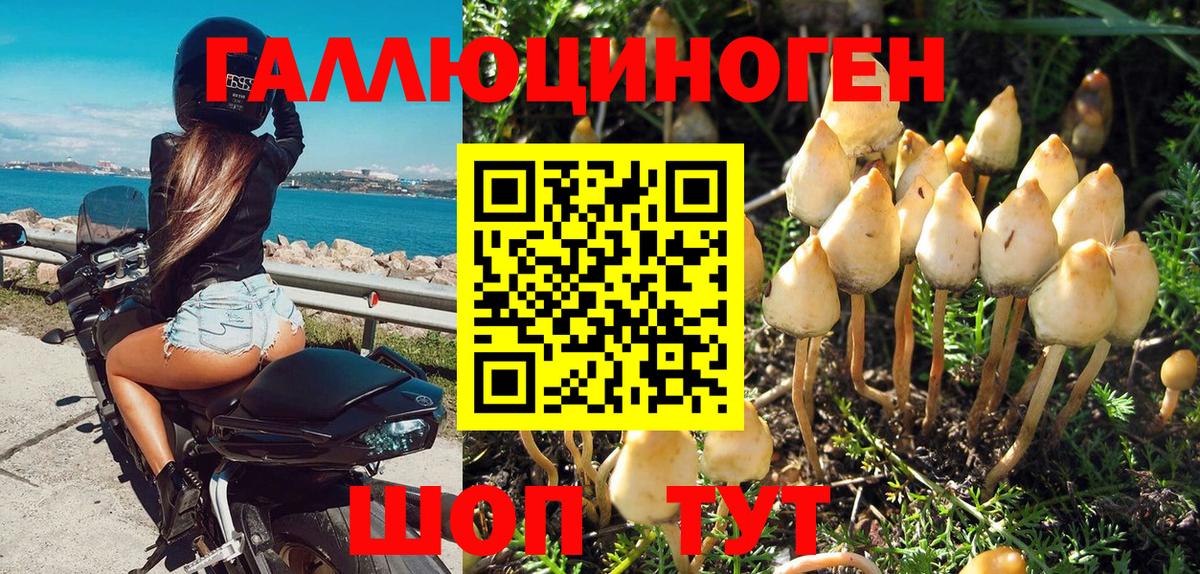 Галлюциногенные грибы прущие грибы  как найти   Стерлитамак  Псилоцибиновые грибы Magic Shrooms 